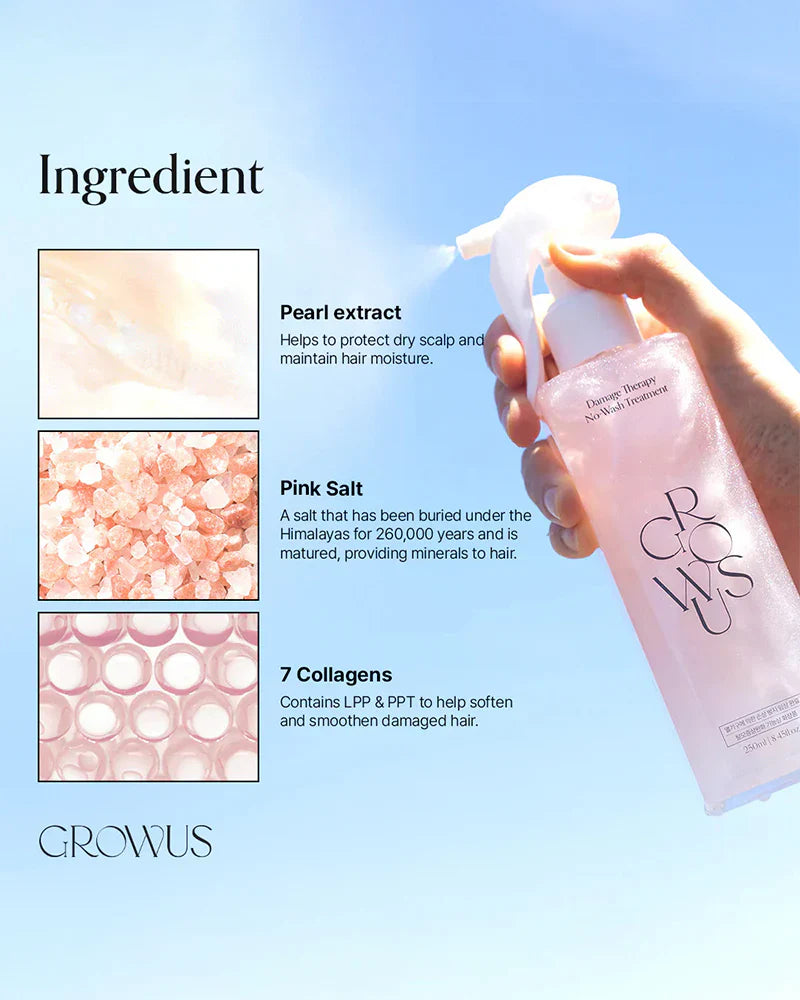 GROWUS - Damage Therapy No-Wash Treatment EX (250ml)
