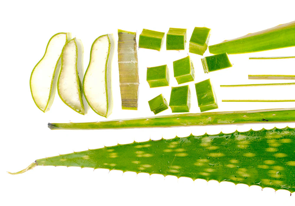 إيكوالبيري - سيروم مهدئ بخلاصة الصبار (30 مل)