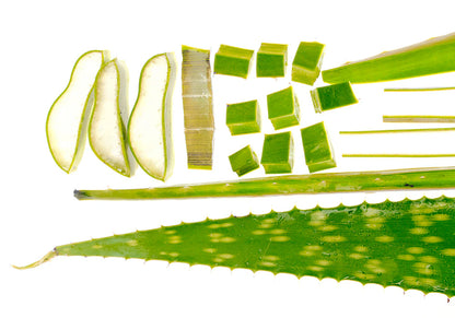 إيكوالبيري - سيروم مهدئ بخلاصة الصبار (30 مل)