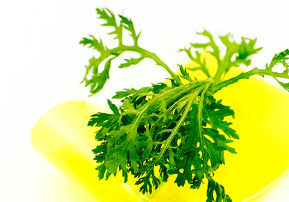 إيكوالبيري - سيروم مهدئ بخلاصة الصبار (30 مل)