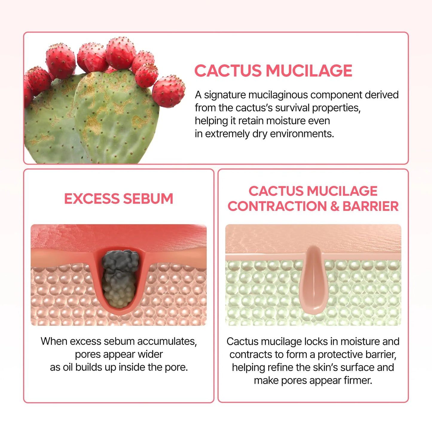 DR MELAXIN CACTOX PORE RELIEF DUAL CAPSULE CREAM