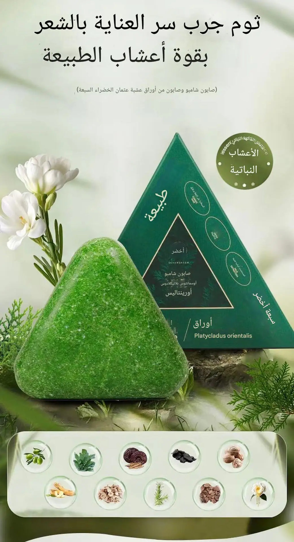 Natural Herbal Seven Green Shampoo Tree of Life Leaf Osmal Herb 120g — EmartGCC Kuwait