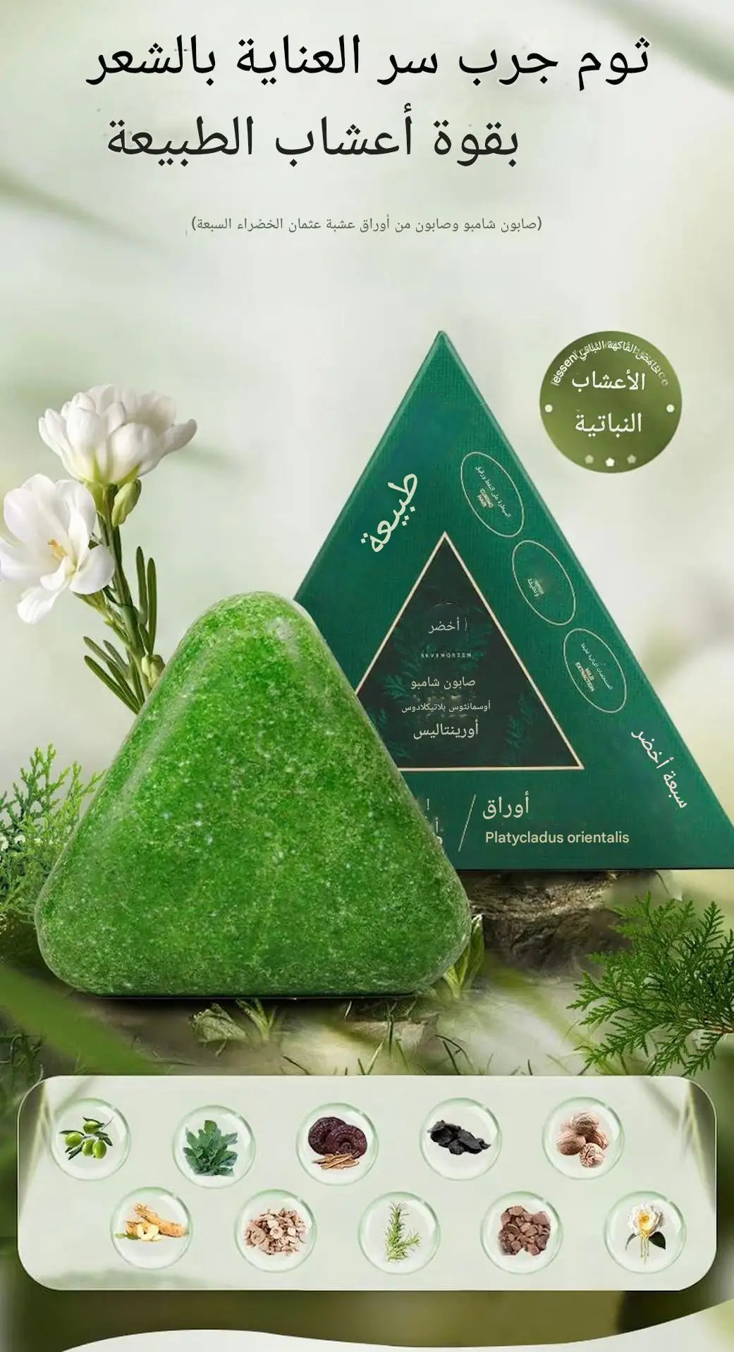 Natural Herbal Seven Green Shampoo Tree of Life Leaf Osmal Herb 120g — EmartGCC Kuwait
